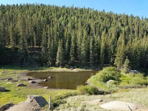 36 Arapahoe Creek Dr, Twin Rock, CO 80816-7142