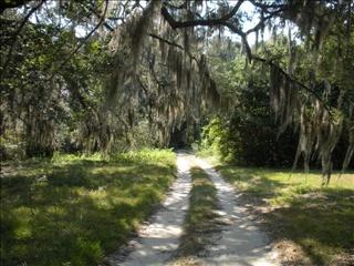 7759 Ousley Rd, Valdosta, GA 31601-1009