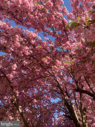 59 Valleybrook Dr, Lancaster PA  17601-4612 exterior