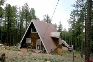 196 Timber Dr, Vallecito, CO 81122-9288