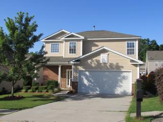 160 Phoenix Ln, Lexington, SC 29072-7160
