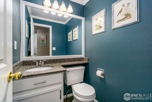 513 Idalia Ct, Fort Collins CO  80525-7011 exterior