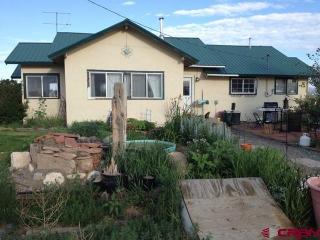 45973 County Road B, Center, CO 81125-9309