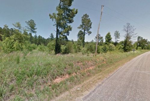 407 Youngblood Rd, Meeting Street, SC 29824-1525