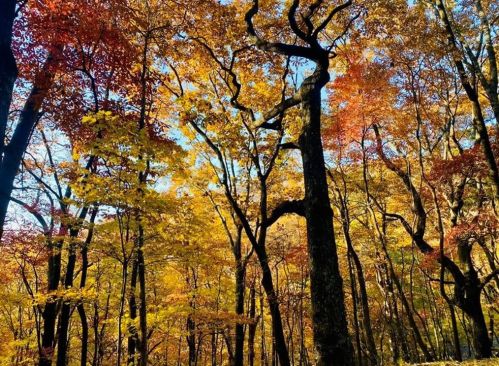 1458 Valley View Dr, Big Canoe GA  exterior