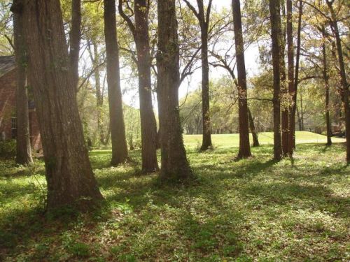 52 Forest Oaks Dr, Meggett, SC 29449