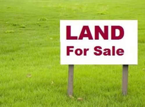203 Franklin St, Bonaire, GA 31005-3816