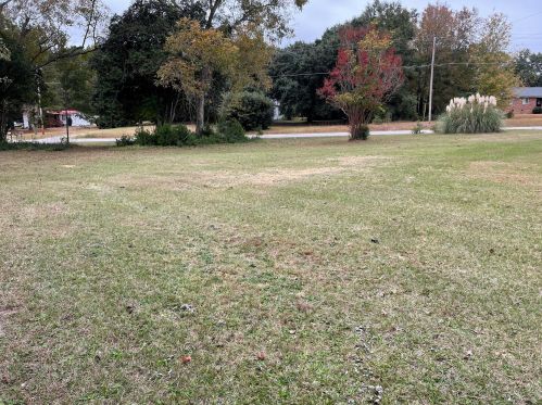 750 Galilee Rd, Barnwell, SC 29812-6159
