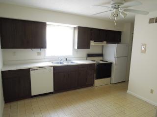 407 Calhoun Ave, Springfield IL  62702-3732 exterior