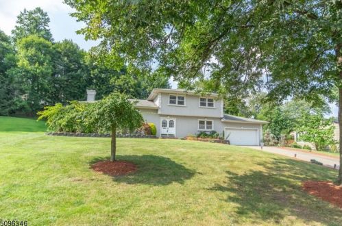 19 Rand Dr, Town Center, NJ 07052-1410