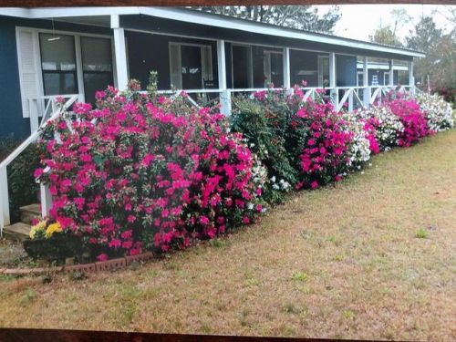 215 Waldron Ln, Screven, GA 31560-9432