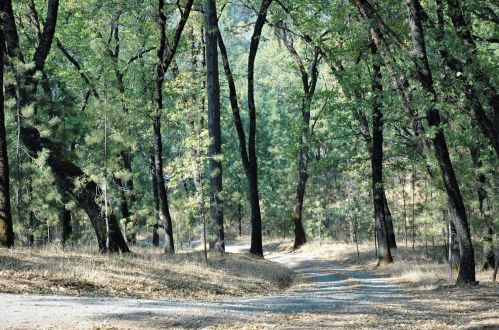 19843 Wolf Creek Rd, Grass Valley, CA 95949-6921
