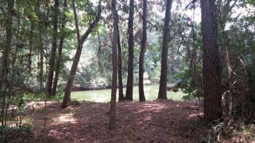 5210 Old Washington Crse, Meggett, SC 29449-5877