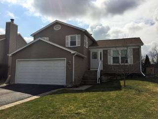 2717 Briarwood Ct, Downers Grove, IL 60517-4275