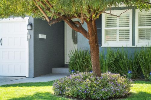 252 Beegum Way, San Jose, CA 95123-3605