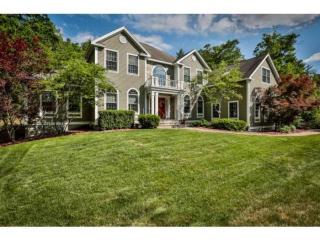9 Easy St, Windham, NH 03087-1579