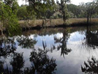 5922 Dungannon Plantation Way, Ravenel, SC 29470-5625