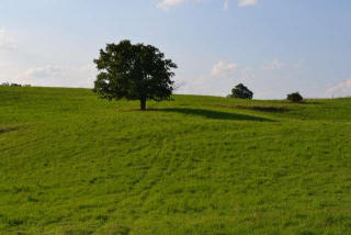 340 Glenwood Ln, Maxwelton, WV 24957