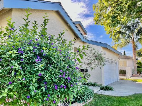 3220 Raintree Ave, Torrance, CA 90505-6617