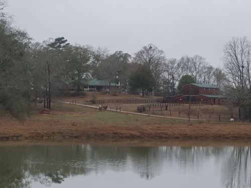 10160 Highway 123, Ariton AL  36311-5210 exterior