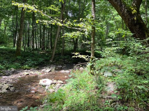 1708 Rough Run Rd, Brandywine, WV 26802-8199