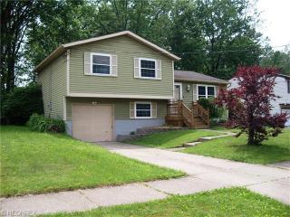 600 Trailwood Dr, Concord Township OH  44077-2802 exterior