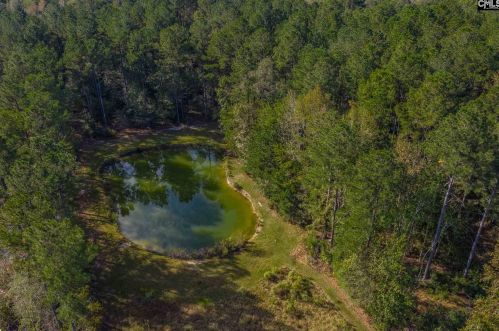 719 Pepper St, Varnville, SC 29944-5315