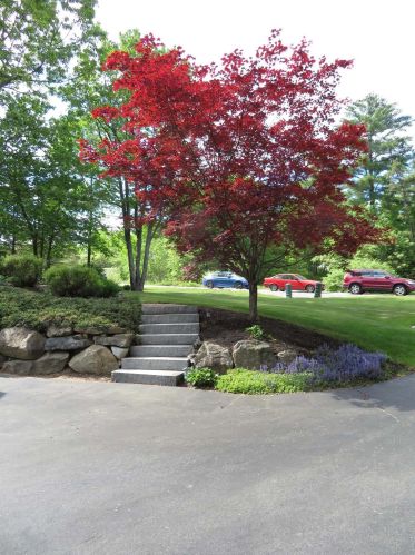 17 Mountain Rd, Auburn, NH 03032-3976