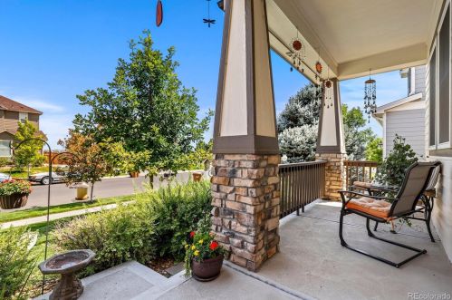 329 Apache Plume St, Denver, CO 80601-5377