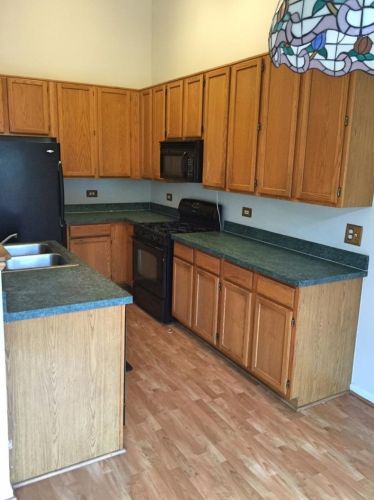 170 Sparrow Ln, Lemont IL  60490-4566 exterior