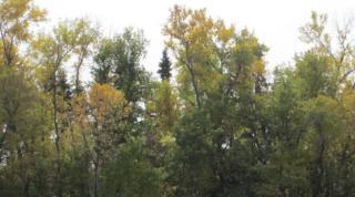 610 2nd Ave, Arthur, ND 58006