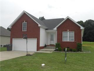 229 Brandywine Ln, Springfield, TN 37172-5048
