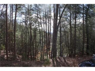1 Seneca Dr, Ellijay, GA 30540-0006