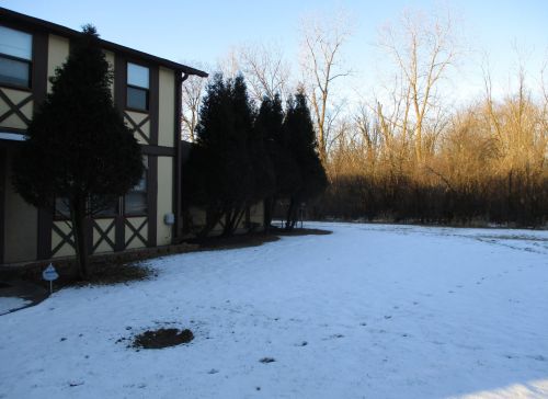 19130 Pine Dr, Country Club Hills, IL 60478-5869