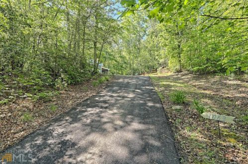 1063 Joe Davis Rd, Tiger, GA 30576-2107