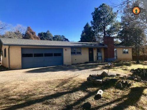 222 Country Club Rd, Colfax, NM 87740-4504
