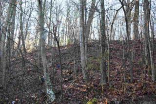 2879 Coffey Rd, Morristown, TN 37813-3694