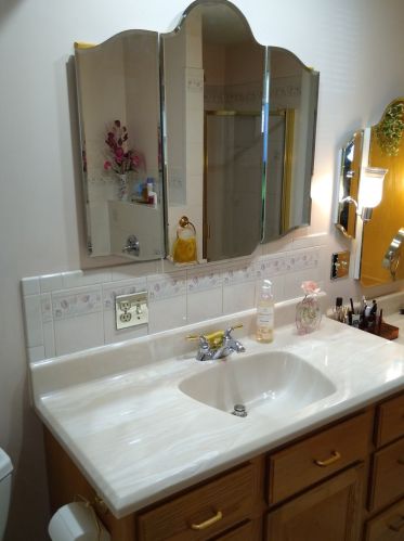 152 Larchmont Way, Lemont IL  60440-2669 exterior