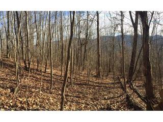 78 Sassafras Valley Rd, Swannanoa, NC 28778-6102