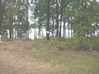 145 Rolling Hills Rd, Smallwood, SC 29130-9706