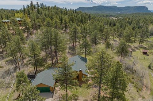 132 Wagon Tongue Rd, Bailey CO  80421-1057 exterior