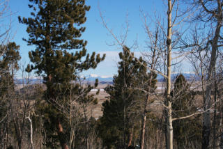 1667 Blacksmith Rd, Hartsel, CO 80449-8598