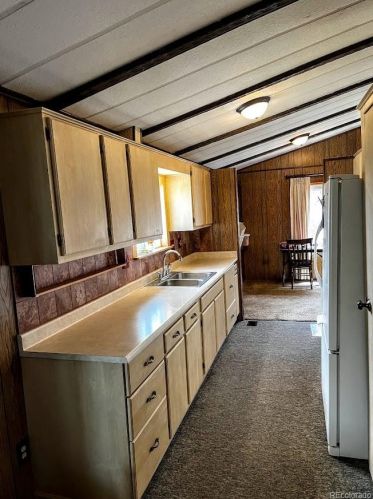 588 Coronado Dr, Deckers CO 80135-8316 exterior