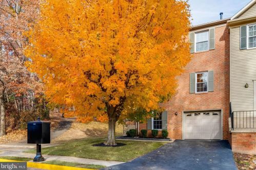 7816 Wintercress Ln, Springfield, VA 22152-3841