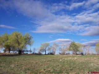 25321 Cactus Park Rd, Grand Mesa CO  81413-5219 exterior