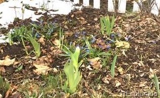 6355 Florence Way, Englewood CO 80111-5624 exterior