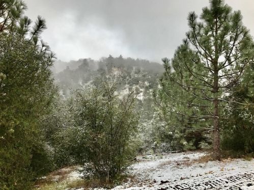 25051 Grade Rd, Santa Ysabel, CA 92070