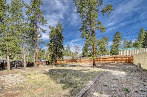 909 Diamond St, Leadville CO 80461-3703 exterior