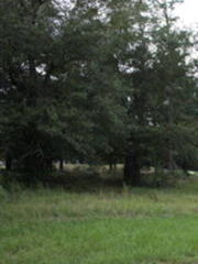 4550 Peach Orchard Rd, Rembert, SC 29128-9341