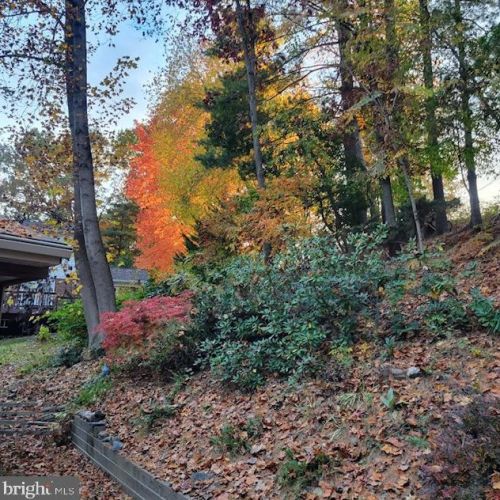 7099 Game Lord Dr, Springfield VA  22153-1312 exterior